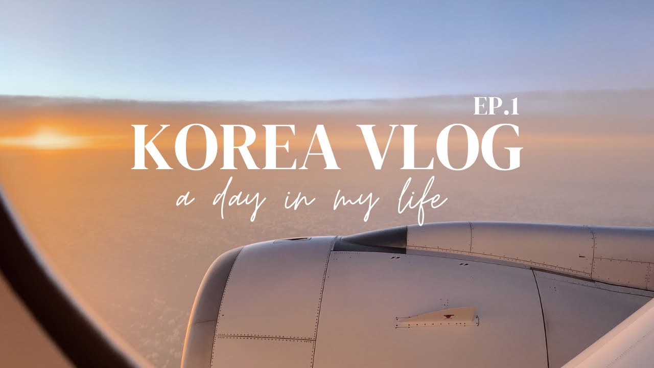 KOREA Vlog EP.1 I อัพเดทเกาหลี 2022 I Hongdae I Garosu-gil I ไปย่านใหม่ Seongsu I Seoul Forest [SUB]