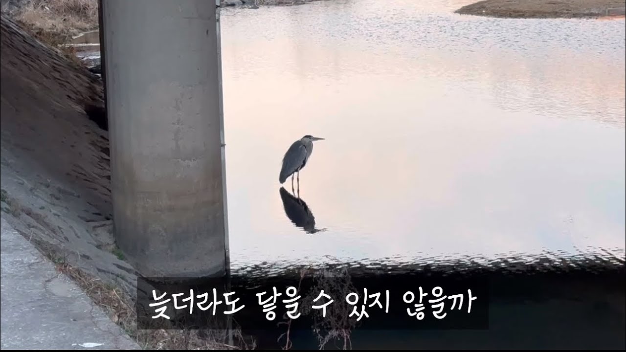 하천 달리기와 할머니