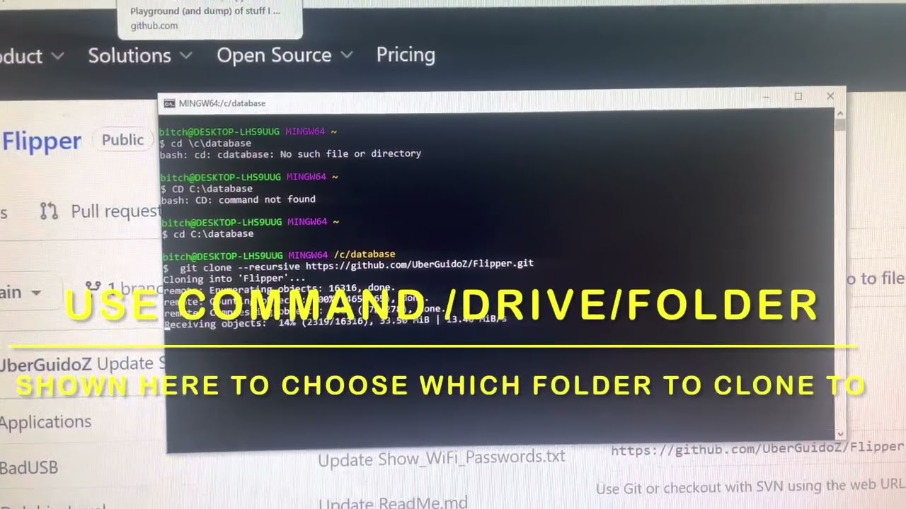 Loading subghz and IR files on the flipper zero