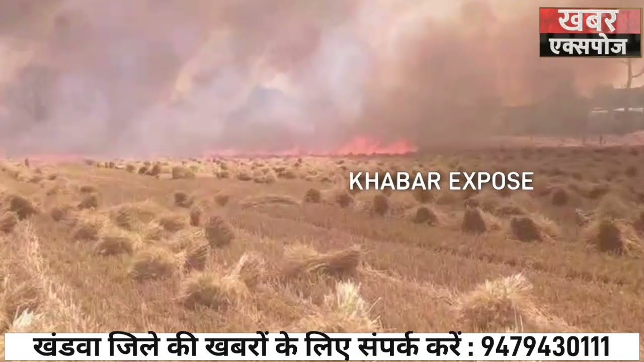 खंडवा: बेनपुरा डोंगरी में गेहूं के खेतों में लगी भीषण आग, मचा हड़कंप, खड़ी फसलें हुई बर्बाद