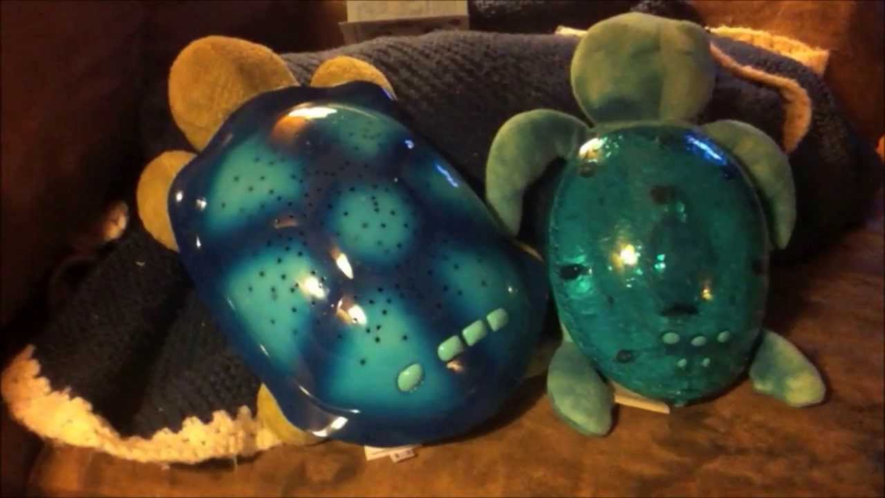 Twilight Turtle Tunes by Cloud B