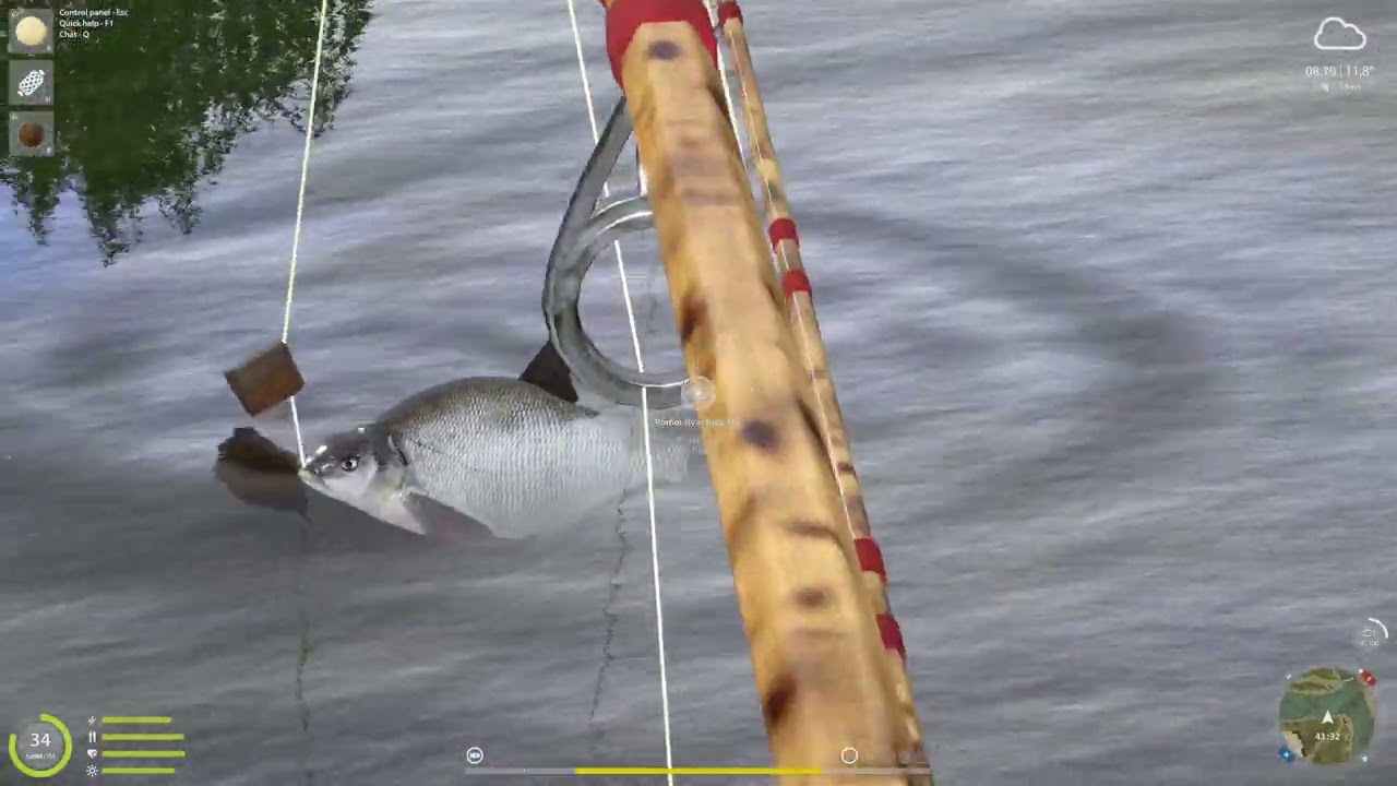 Bream Brase Leszcz Roach Płoć Old Burg Russian Fishing 4 #421