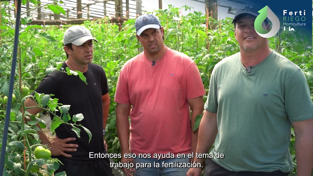 INIA FertiRIEGO Horticultura – Análisis de savia