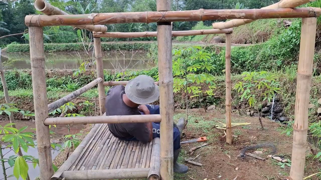 MEMBUAT SAUNG SEDERHANA DENGAN BAMBU BEKAS -  MEMBUAT SAUNG DI SAWAH