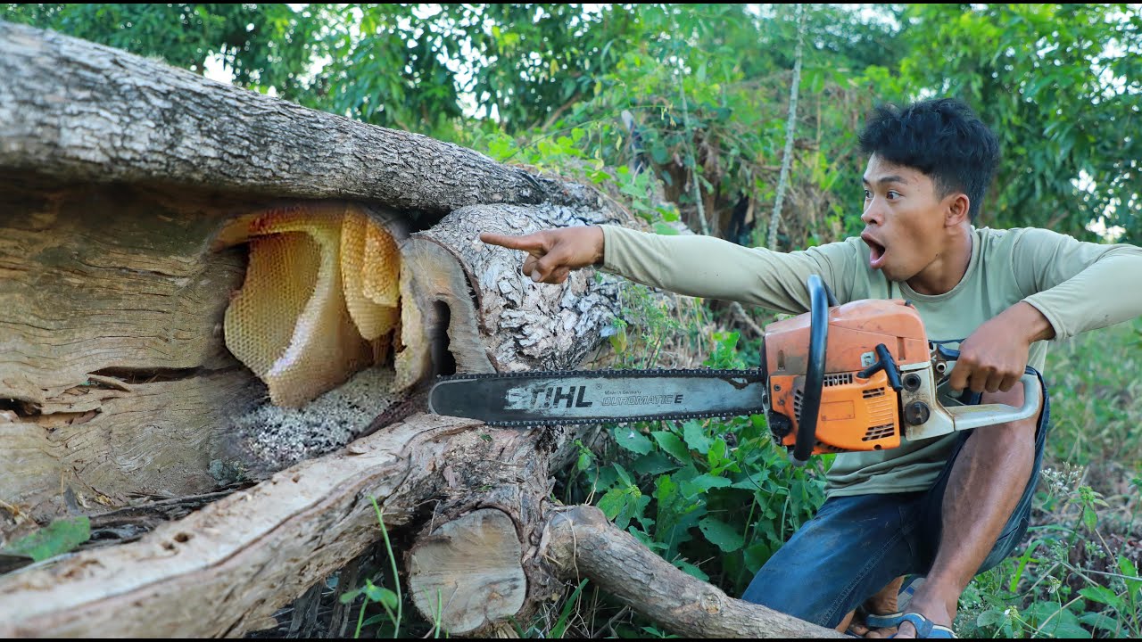 Wow Sweet honey mouth watering Wow, weird Take the bees use Machine Cutting