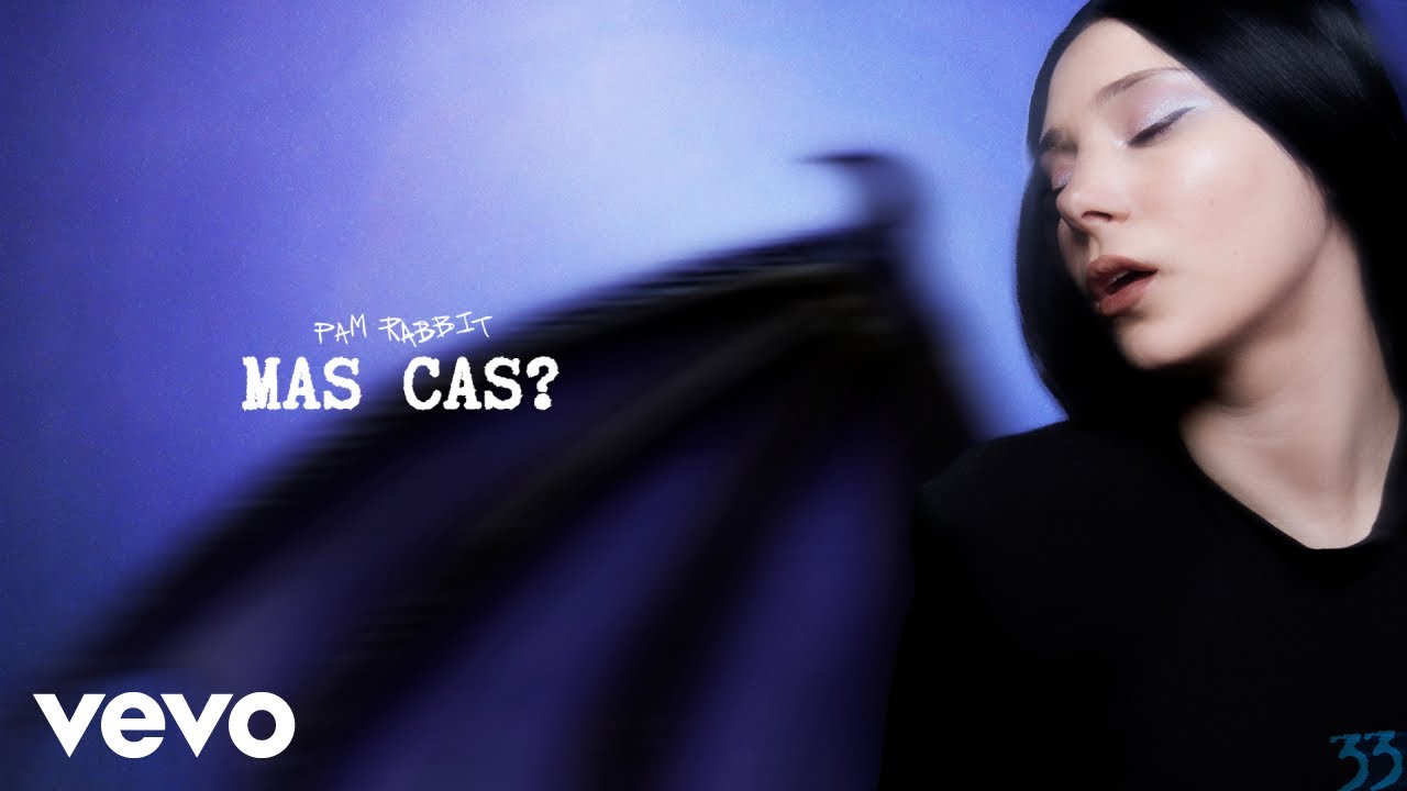 Pam Rabbit - mas cas? (Official Lyric Video)