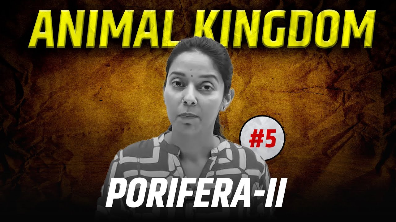 #5-Porifera-II |Characteristics of Phylum Porifera |Animal Kingdom| NEET |Class 11