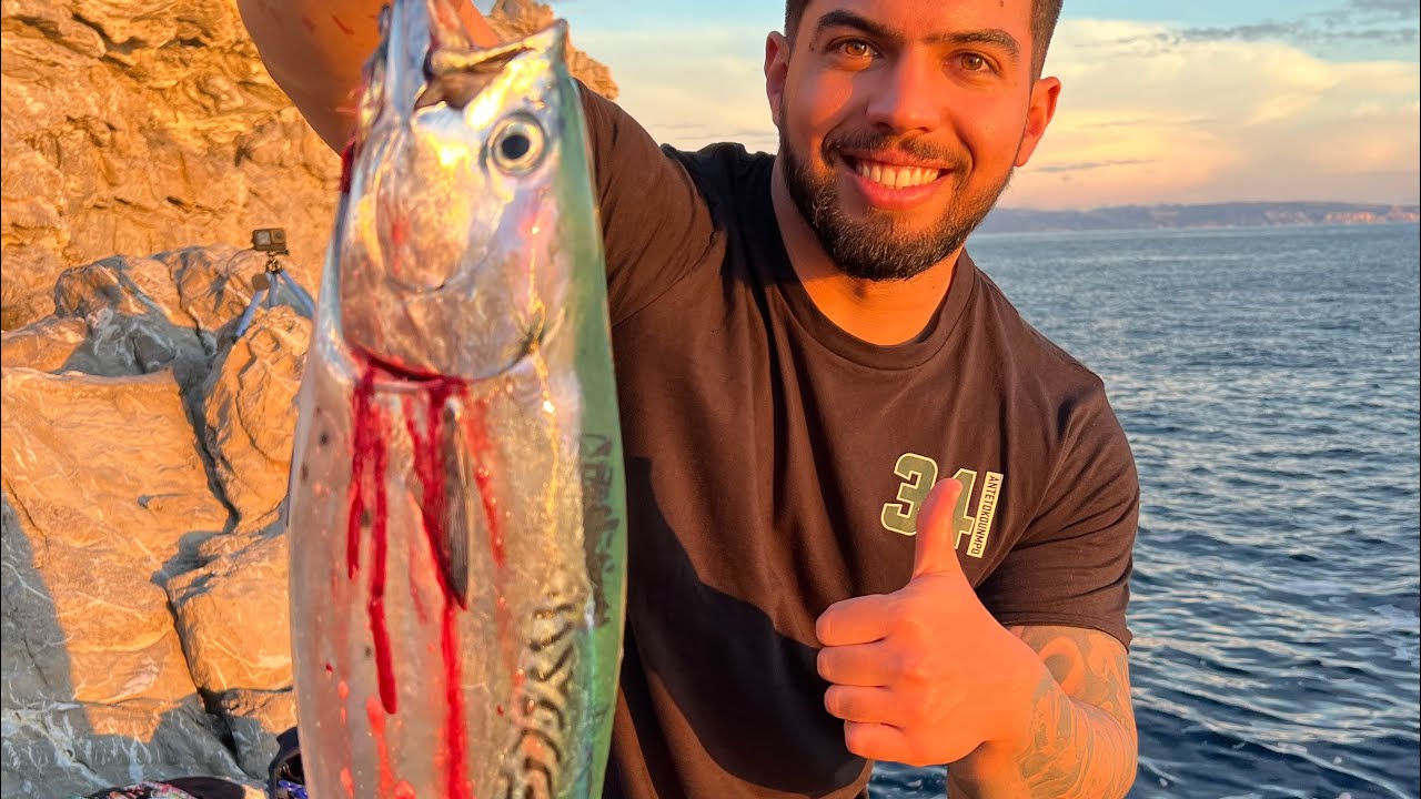 Shore Jigging Hearty rise max 120 Certate 8000 sw. Bonito,Albacore.