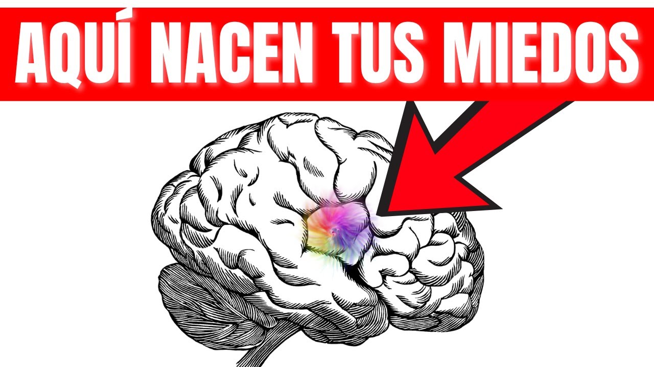 3️⃣ estragarías PODEROSAS para terminar con la ansiedad y miedos