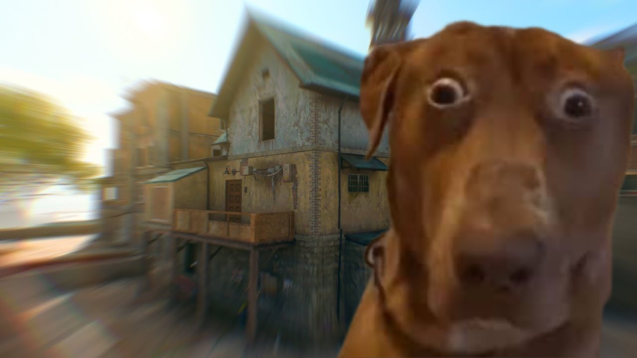 What Warzone looks like with NO 2 BOX lobbies