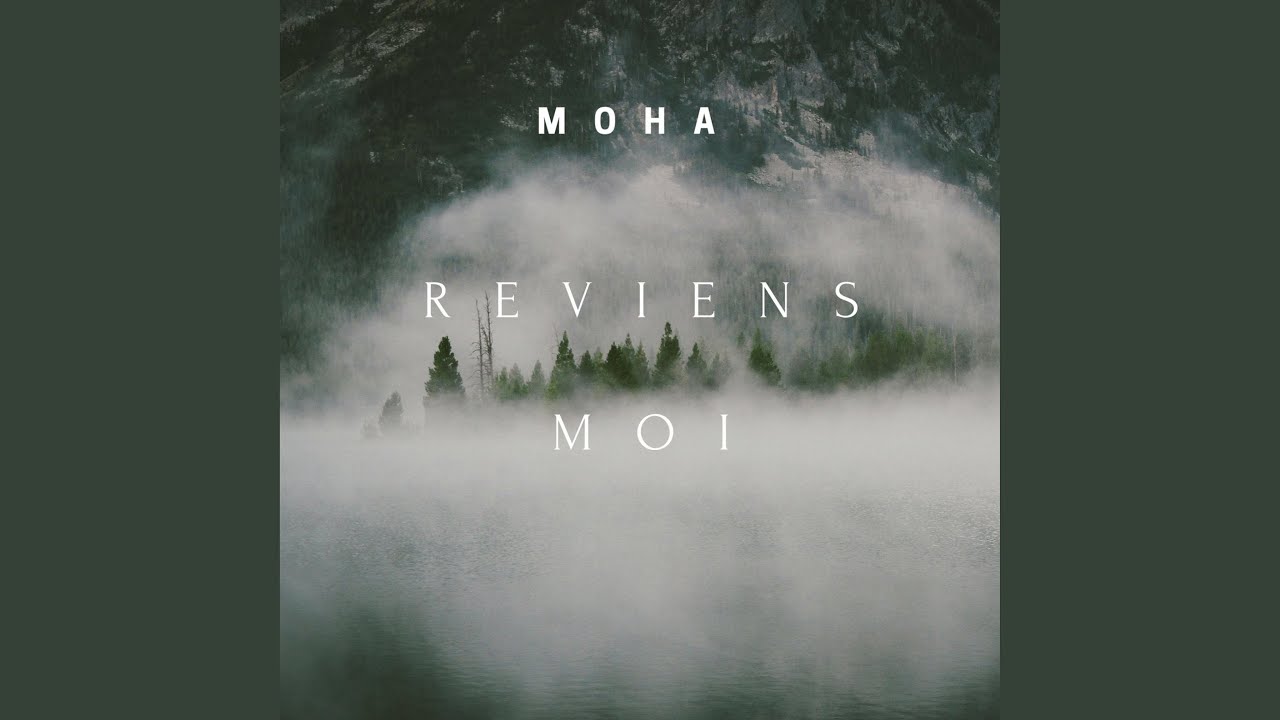 Je voulais