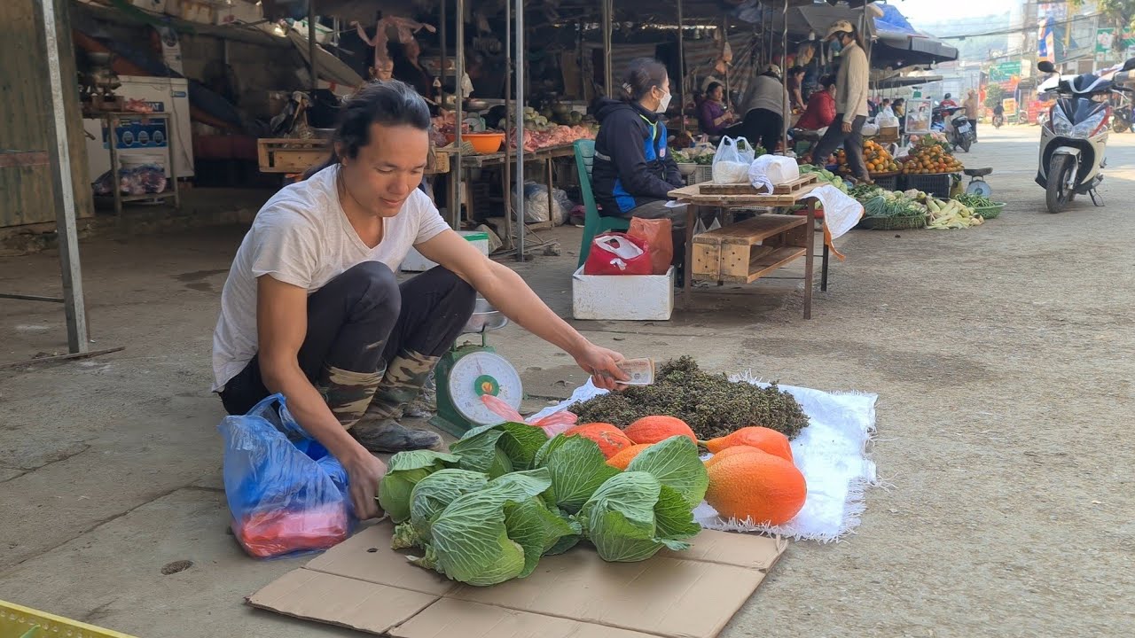 Harvesting fruits vegetables in the garden to the market to sell, king kong amazon,  300