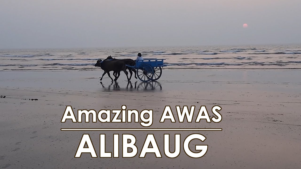 Amazing Awas Village ALIBAUG || Jogeshwari Temple || Awas Fish Market || Mandwa Jetty