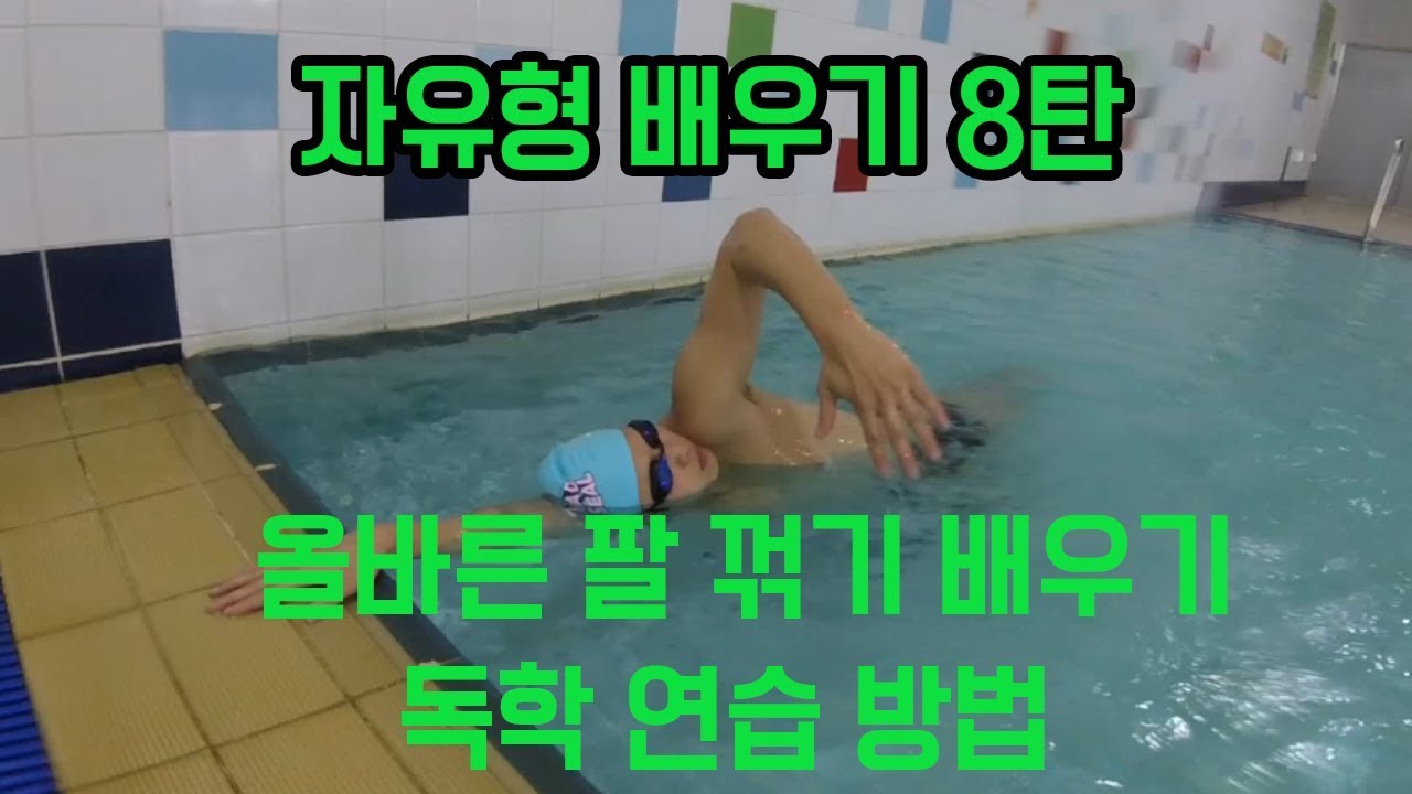 자유형 배우기 8탄 올바른 자유형 팔 꺾기