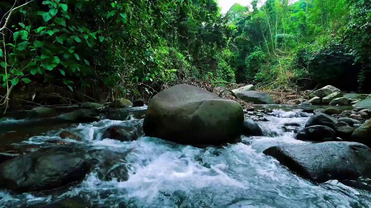 Calming River Sounds for Deep Sleep 💧 Relaxing Water Ambience for Sleeping & Study