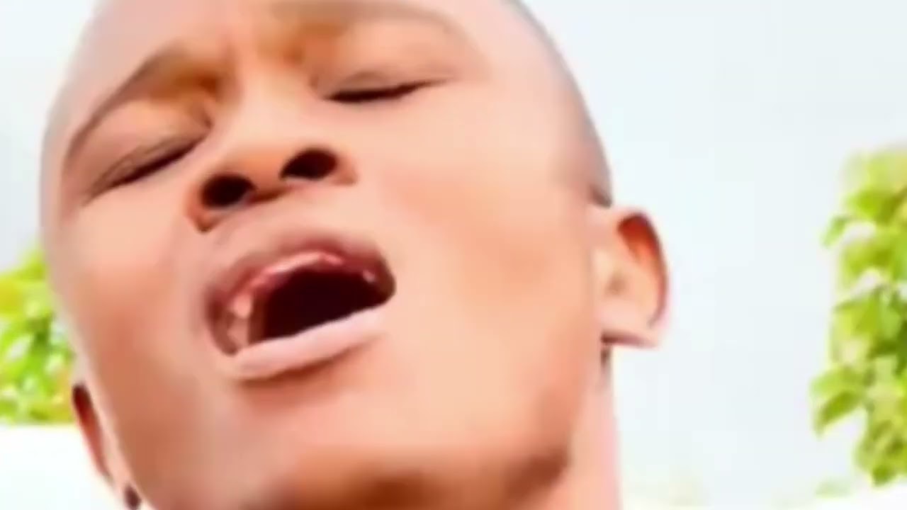 Jehovha nditungamirirei