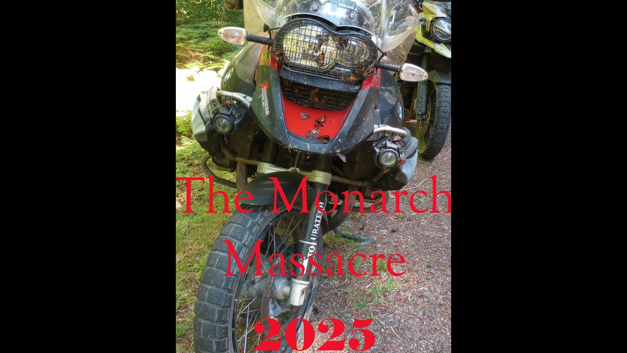 Monarch Massacre