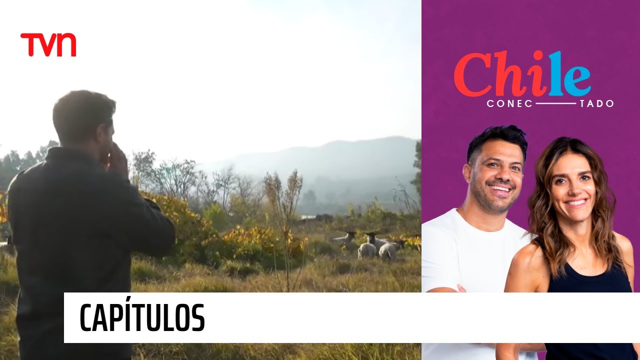 Chile Conectado: 28 de diciembre 2025
