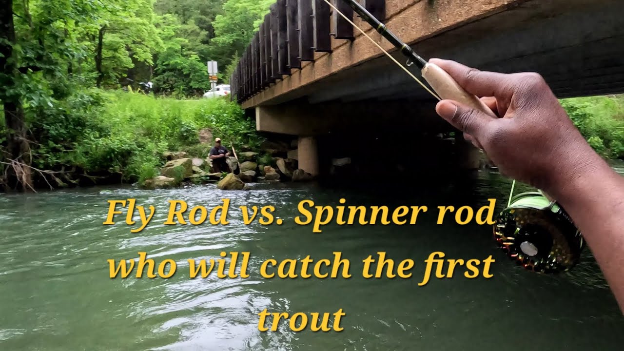 Fly fishing at Montauk State Park. Can I catch a trout before a spinner?