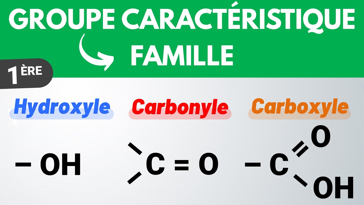 Groupes caract&eacute;ristiques et familles fonctionnelles | 1&egrave;re | Physique-Chimie