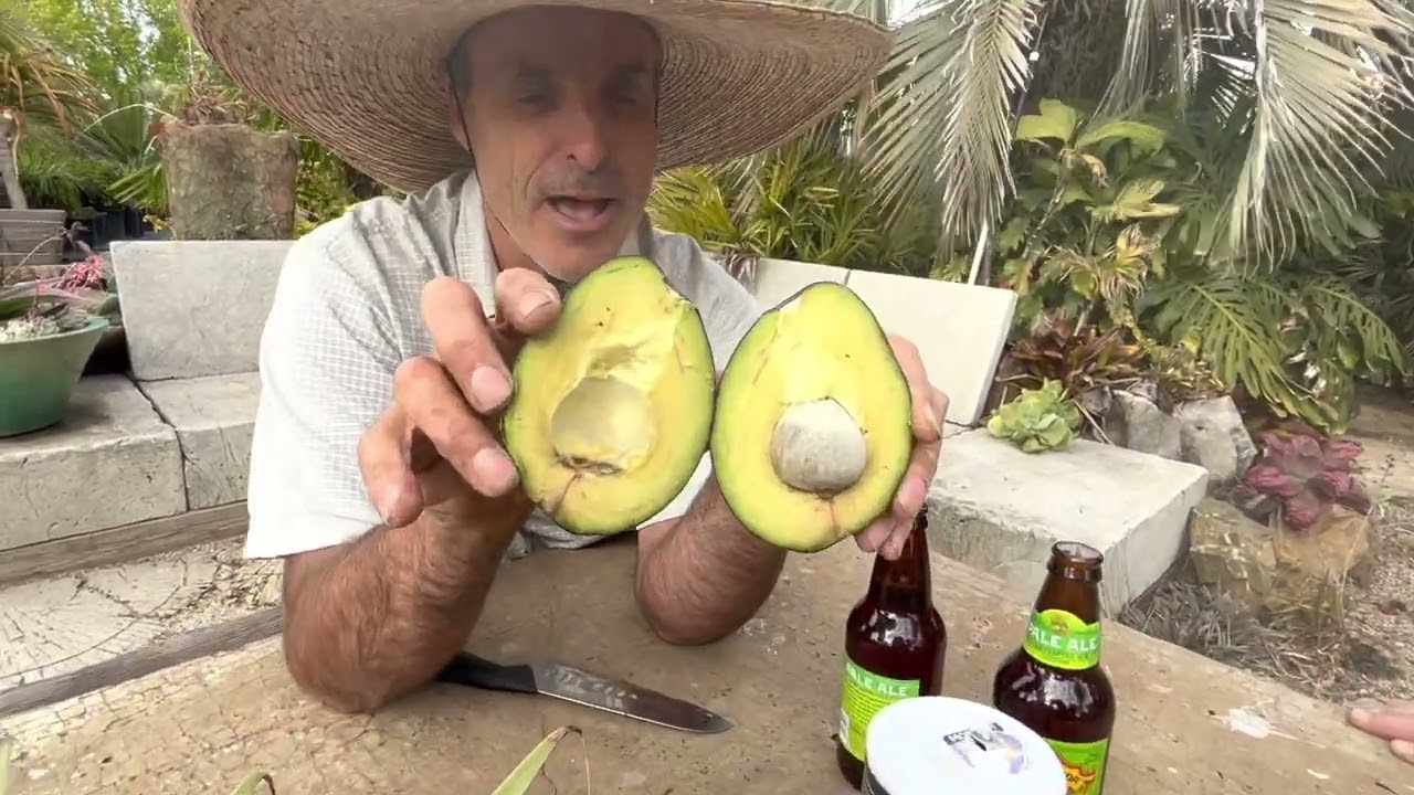 Sir Prize Avocado Taste Test
