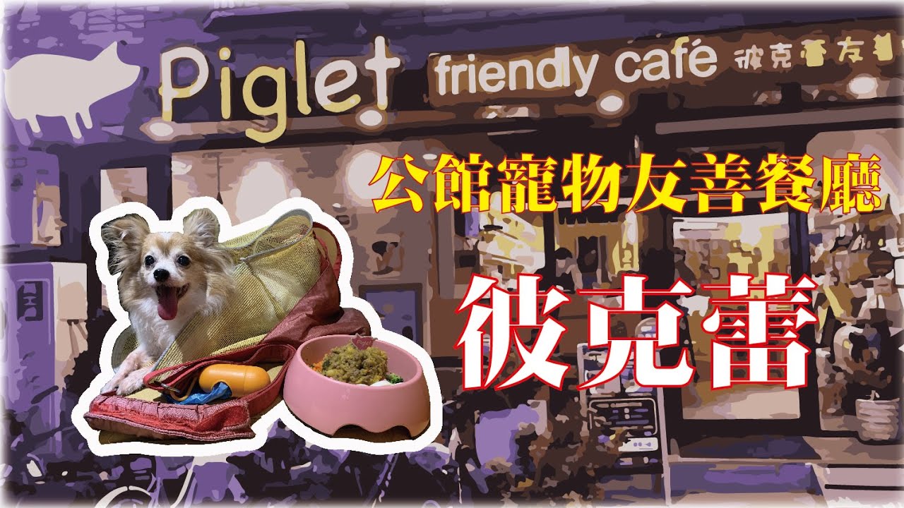 【寵物餐廳】熱到爆也要去寵物友善餐廳 彼克蕾友善咖啡館Piglet friendly cafe