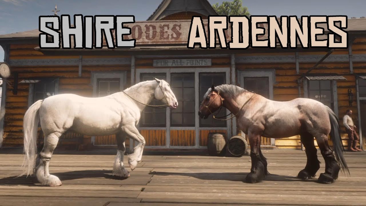 Ardennes and Shire Size Comparison : Red Dead Redemption 2