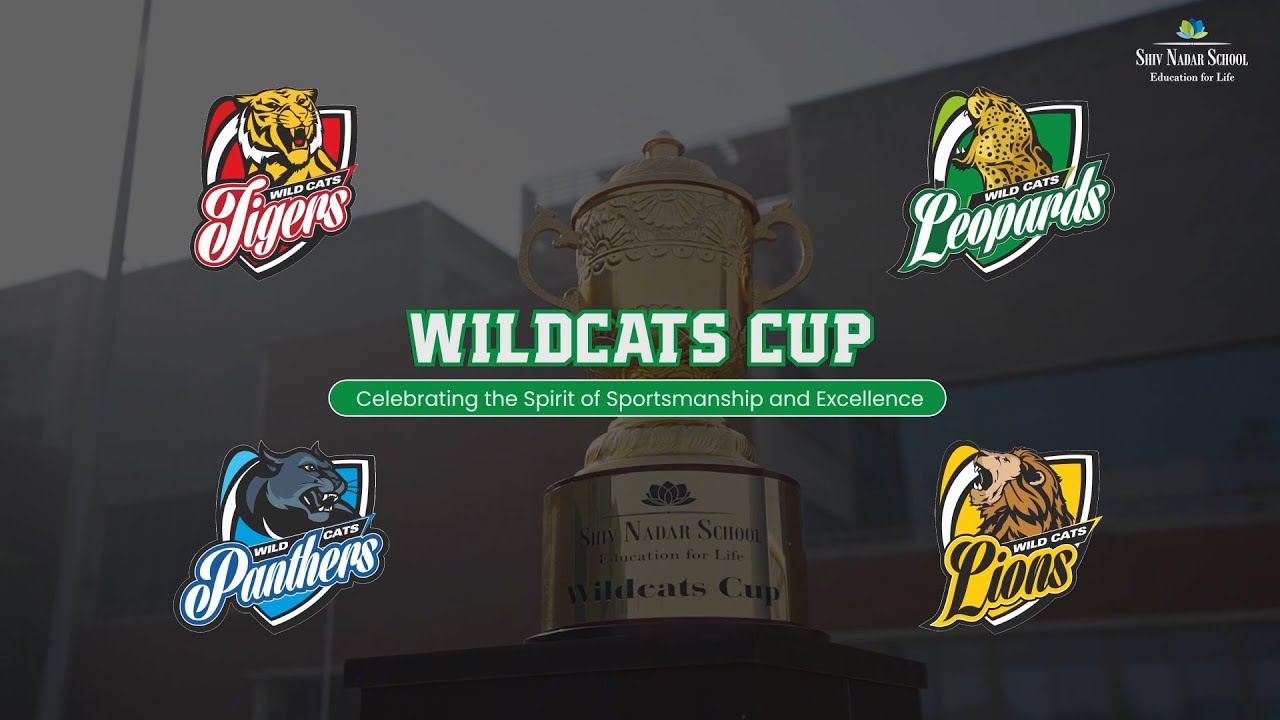 Wildcats cup 2024