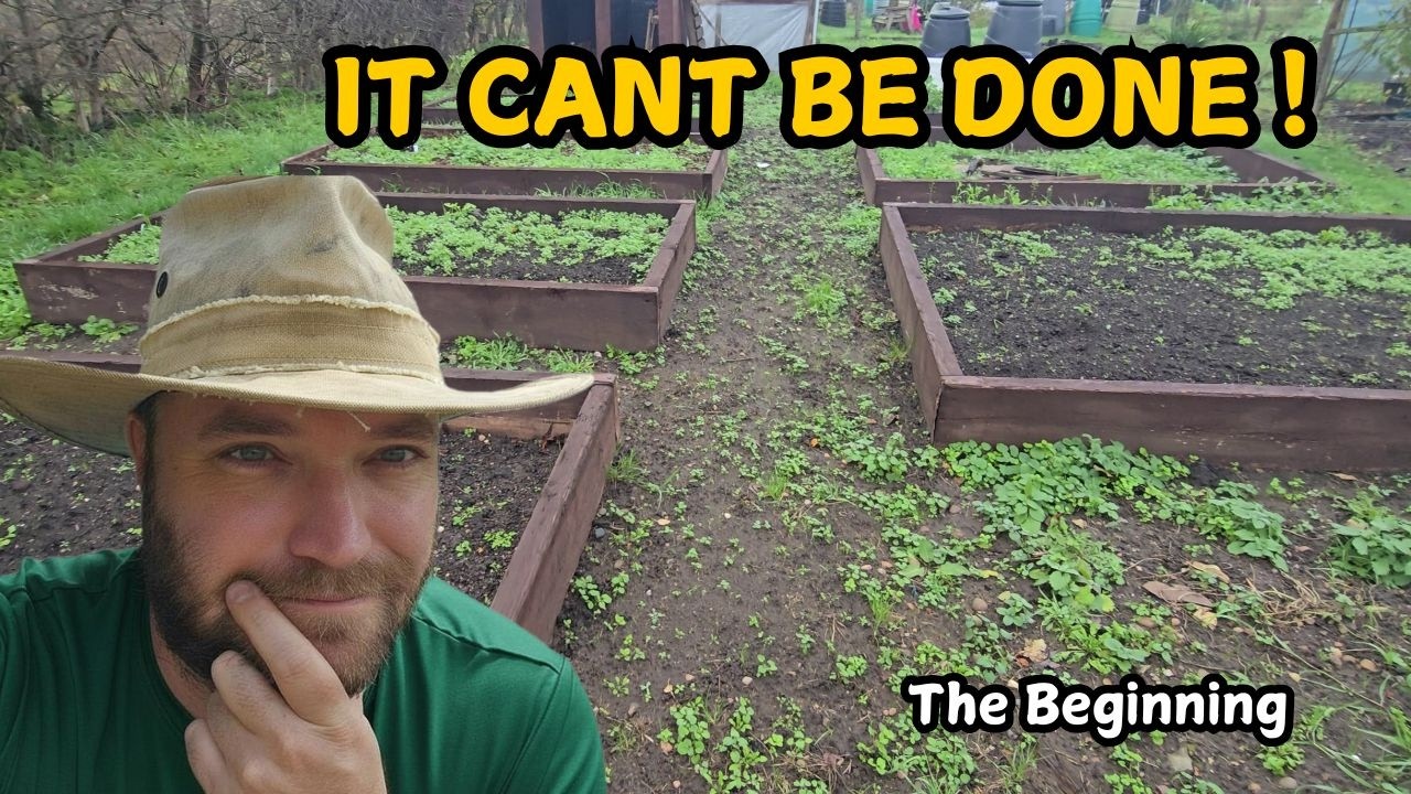 Can I Grow All Our Food for a Month? | Allotment Self-Sufficiency Challenge