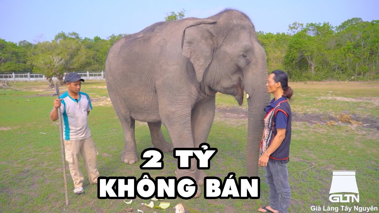 GI&Agrave; L&Agrave;NG CHƠI LỚN