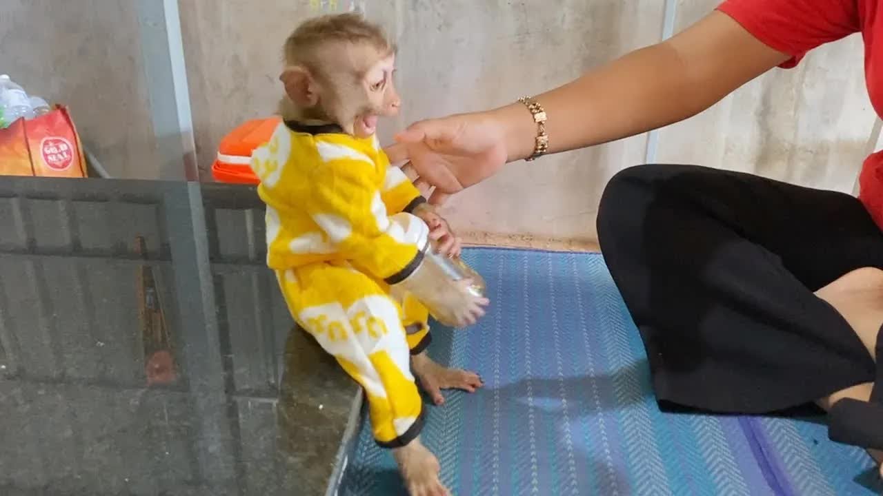 Gosh DAM Lost Control After Found His Favorit Soy Milk Bottle