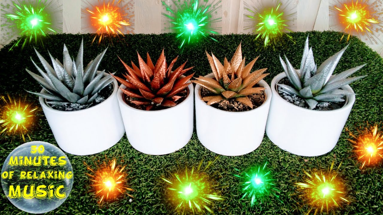 30 Minutes Of Relaxing NEW YEARS Music With Festive Houseplants And Hi-Def Fireworks