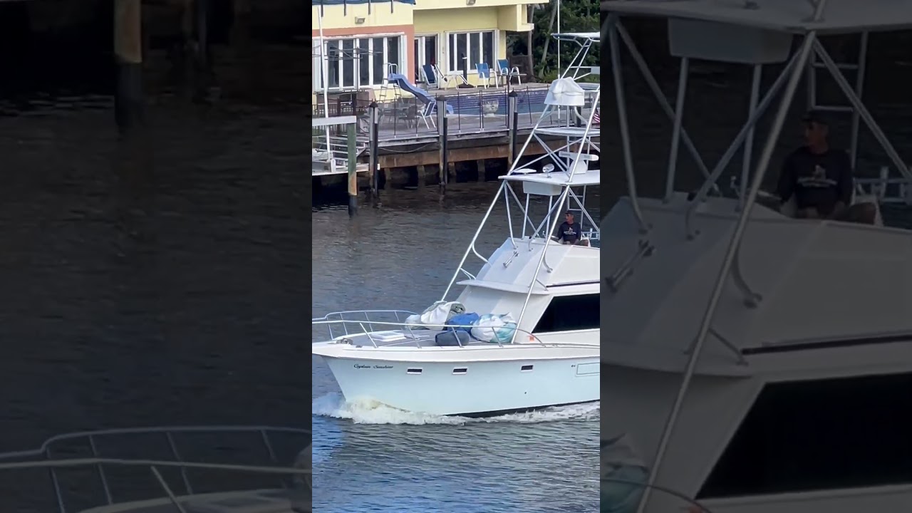 Perfect Charter Fishing Boat Spotted #fishingboat #fishingcharter #fishing