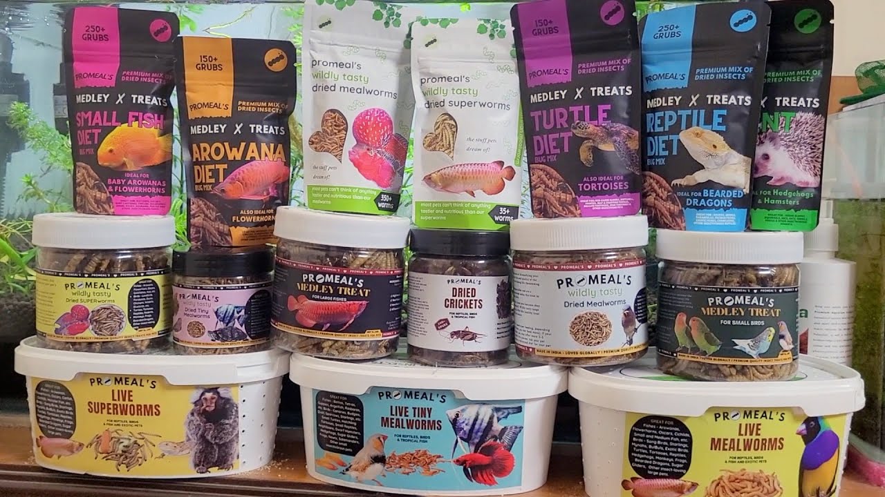 Promeal's Live & Dry worms for Aquarium Fishes