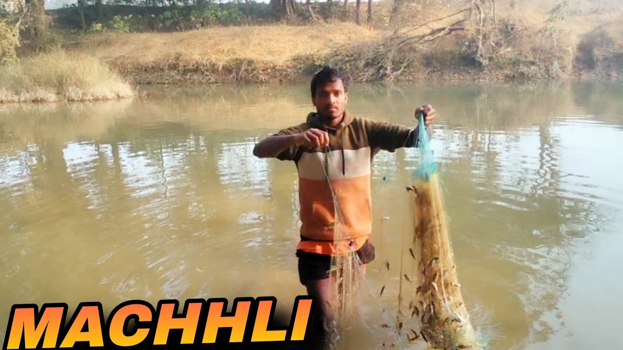Machhli Bahut Jyada Fhasa Jal Me 🐬