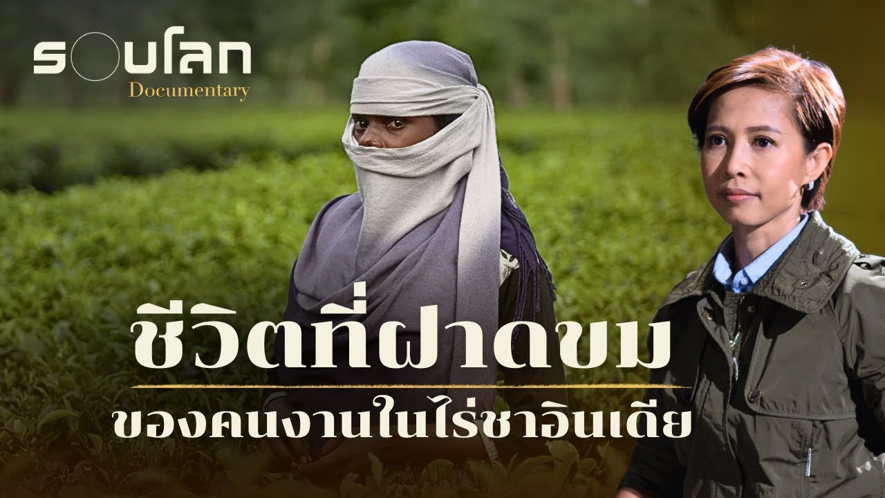 ชีวิตที่ฝาดขม ของคนงานในไร่ชาอินเดีย | ร้อยเรื่องรอบโลก EP.439