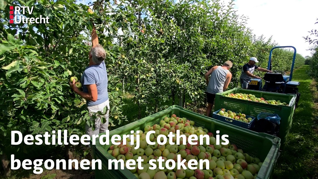 Topzomer voor distillateurs, sterke drank kan gestookt worden | RTV Utrecht