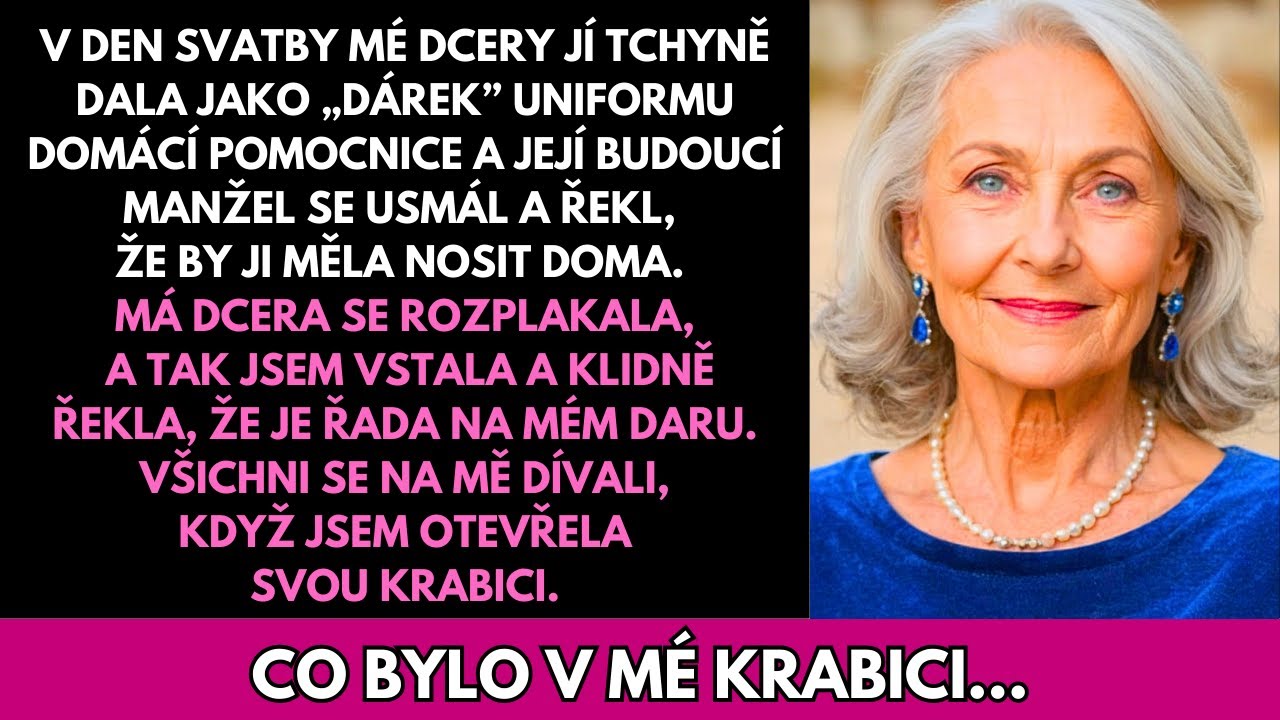 Tchyně Mé Dcery Darovala Šaty Pro Služku Ke Svatbě—Zet Se Smál