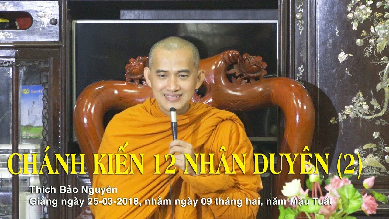 CHÁNH KIẾN 12 NHÂN DUYÊN (2) - Thích Bảo Nguyên