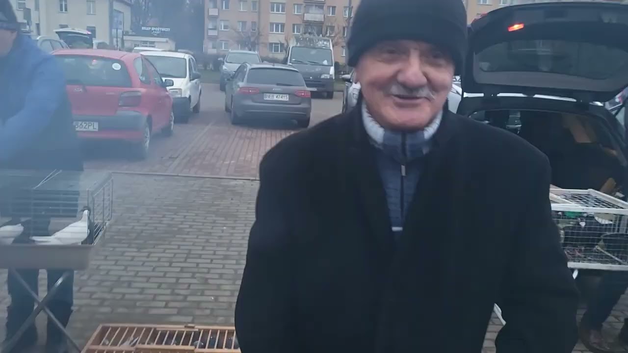 RYNEK TARG GOŁĘBI W ELBLĄGU👌GONIE GOŚCIA Z GOŁEBIAMI🤣🤣 ZAPRASZAM NA FILM 🥳💥💣💥