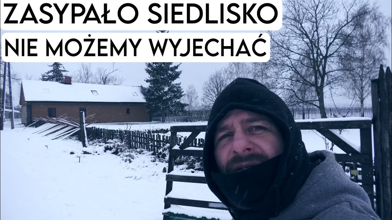 NIE MOŻEMY WYJECHAĆ Z SIEDLISKA PO ZAMIECI-Zimy ciąg dalszy! #siedlisko