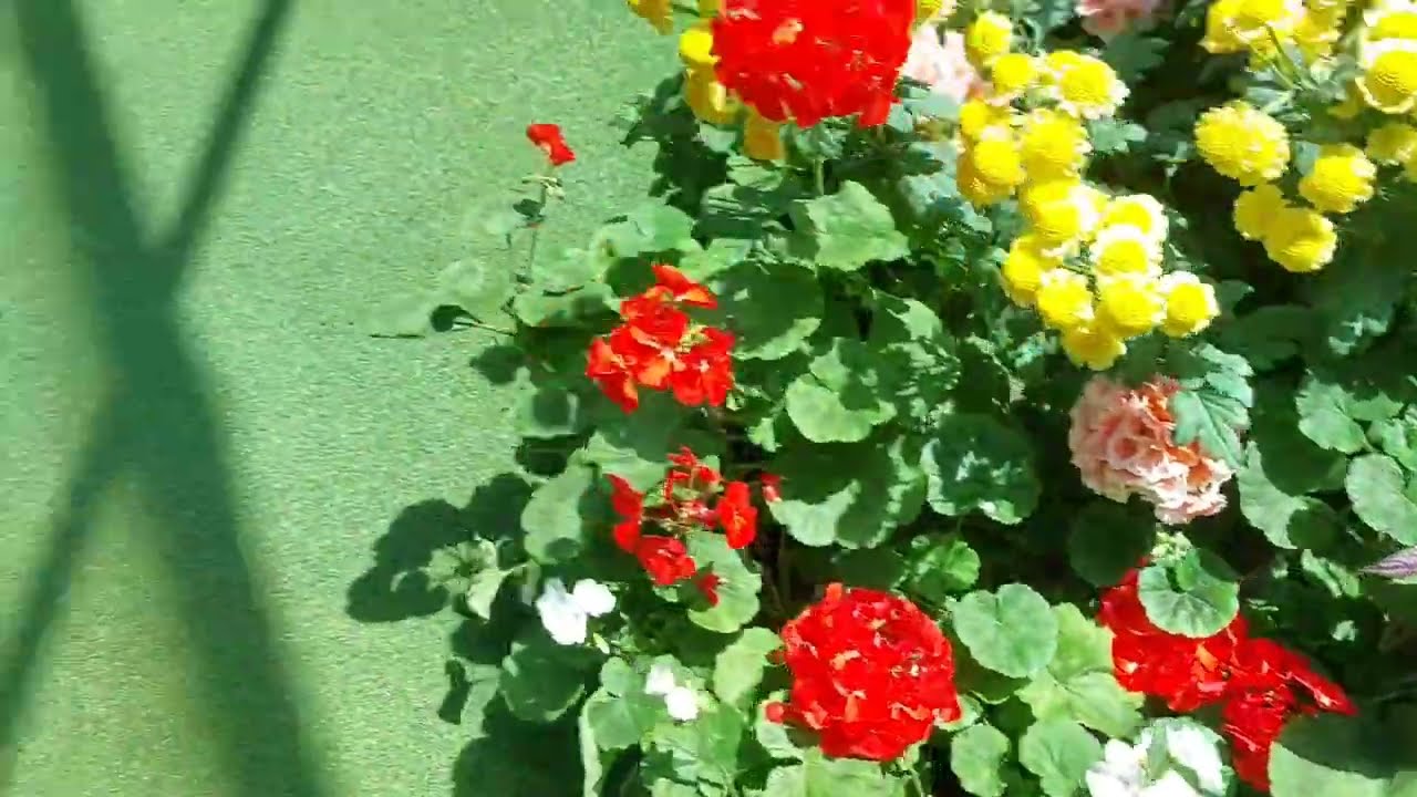 Singapur'da 4. Gün - Floral Fantasy