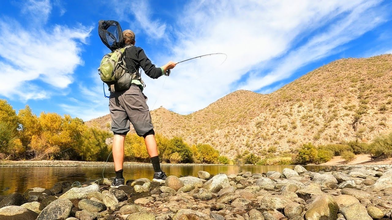 Fly Fishing the AWESOME Salt River, Arizona, for TROUT!