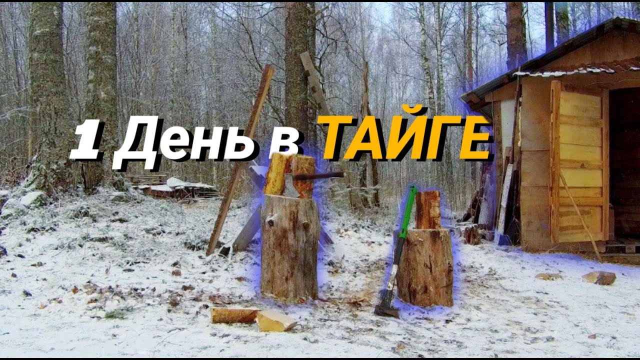 Один день в ТАЙГЕ: Охота, Стройка туалета и Лесная готовка | Однажды в Карелии