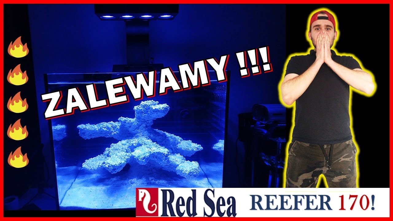 [Reefer170] Red Sea Reefer 170 - Zalewamy🌊 🛠🤨PROJEKT 👉Akwarium morskie krok po kroku🔥