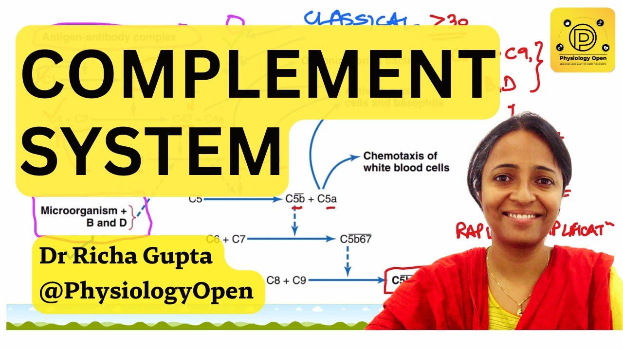 Complement system immunology | components and pathways | physiology of Immune system mbbs 1st year