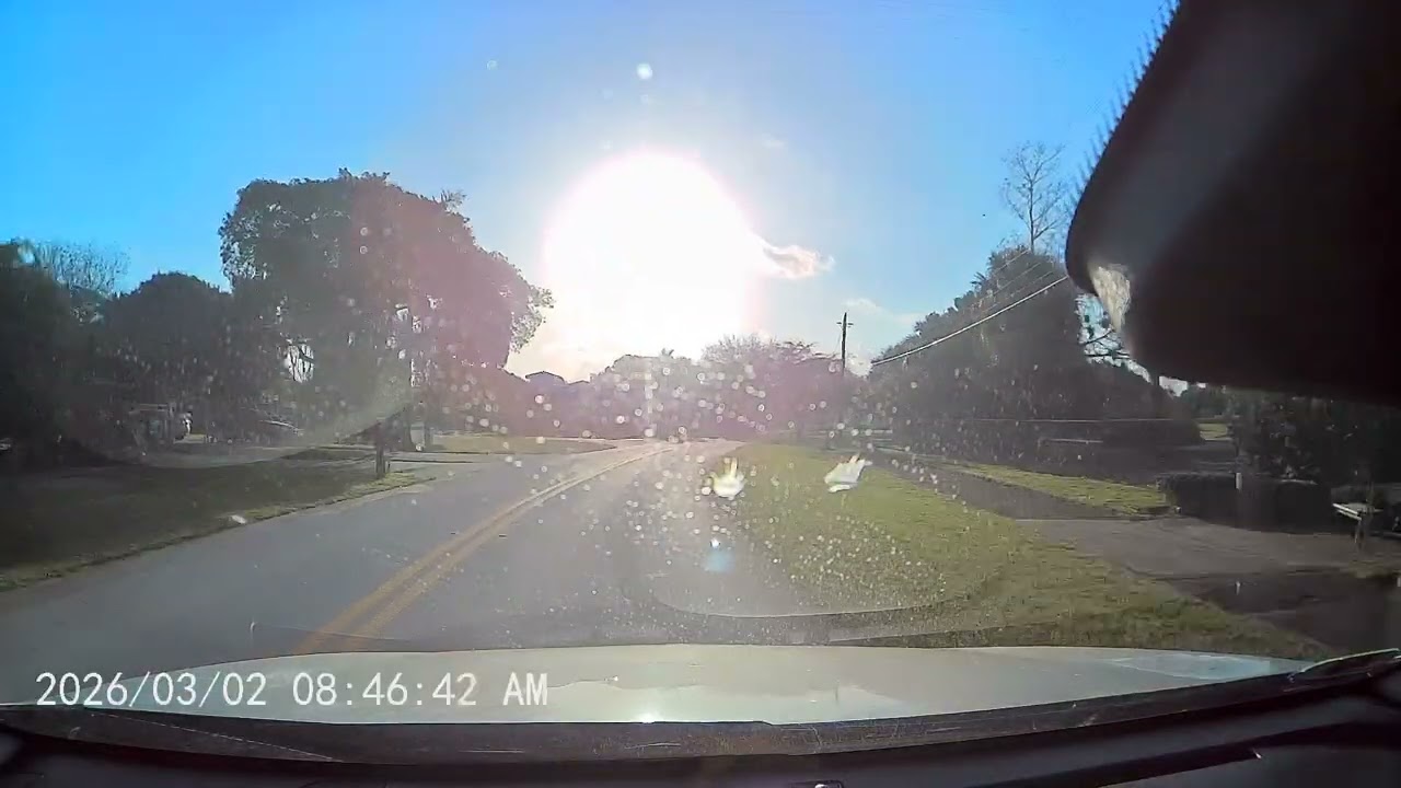 Only in Florida: The Most Unreal Highway Moment Ever Recorded March 5, 2026(2)
