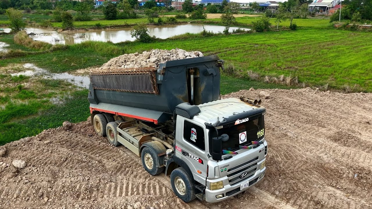 GREAT Work !! Heavy dump truck 25.5Ton unloading soil landfill flooded with Bulldozer D40P pushing.