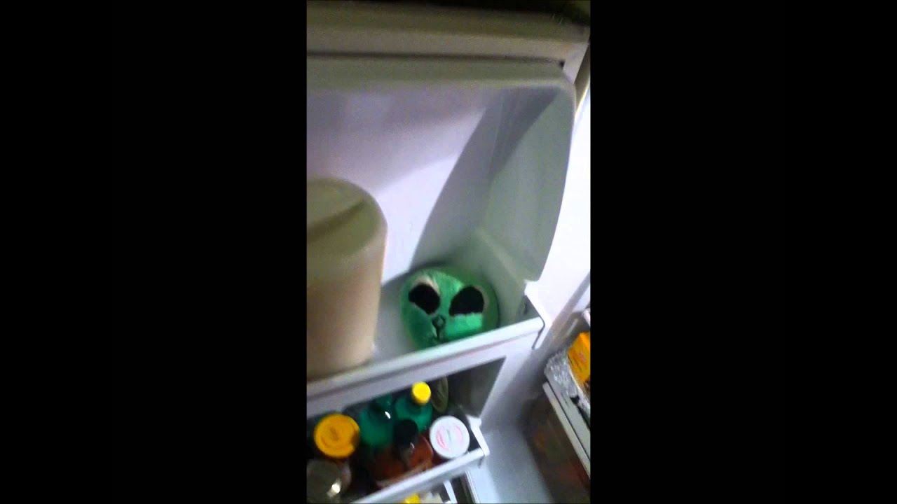 Horrus our Alien head