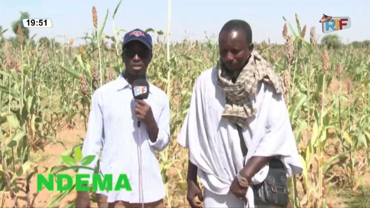 DIRECT🔴NDEMA DU 29 NOVEMBRE 2025